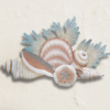Coral & Shells Wall Art